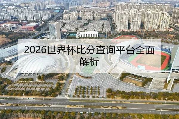 2026世界杯比分查询平台全面解析