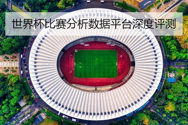 世界杯比赛分析数据平台深度评测