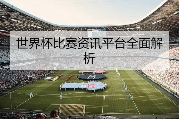 世界杯比赛资讯平台全面解析