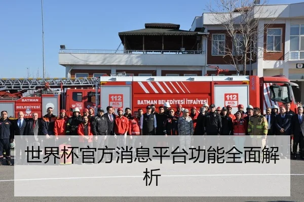 世界杯官方消息平台功能全面解析