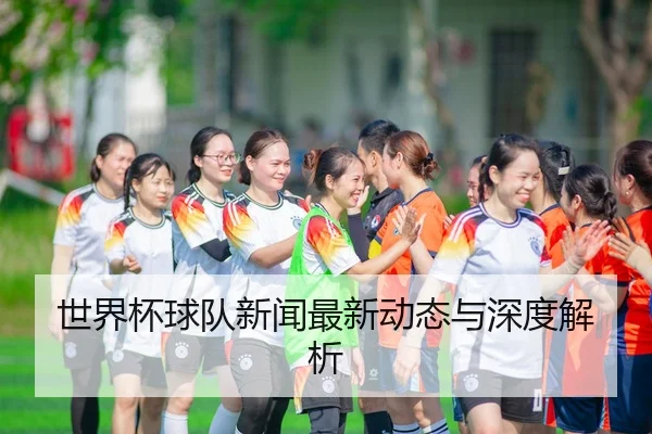 世界杯球队新闻最新动态与深度解析