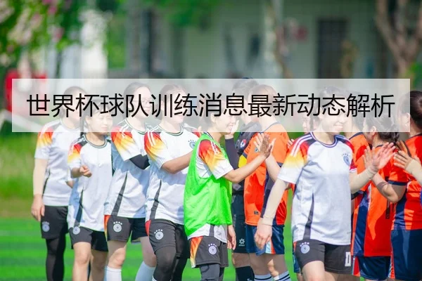 世界杯球队训练消息最新动态解析