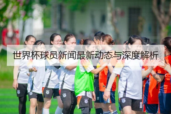 世界杯球员新闻最新动态与深度解析
