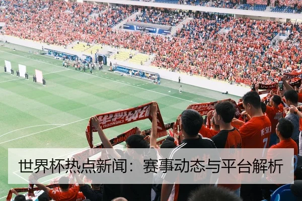 世界杯热点新闻：赛事动态与平台解析