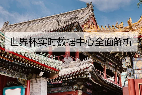 世界杯实时数据中心全面解析