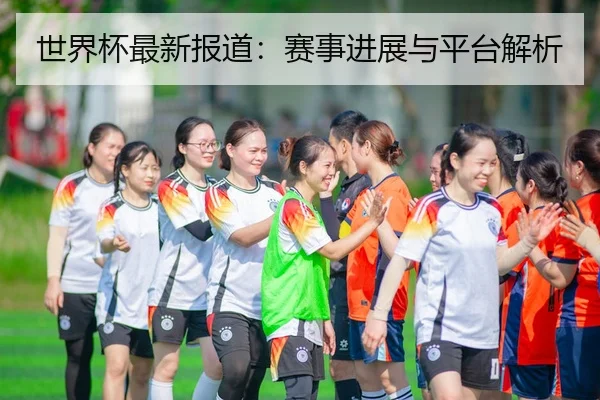 世界杯最新报道：赛事进展与平台解析