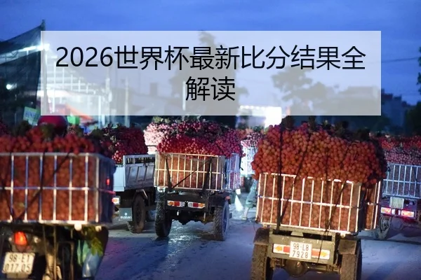 2026世界杯最新比分结果全解读