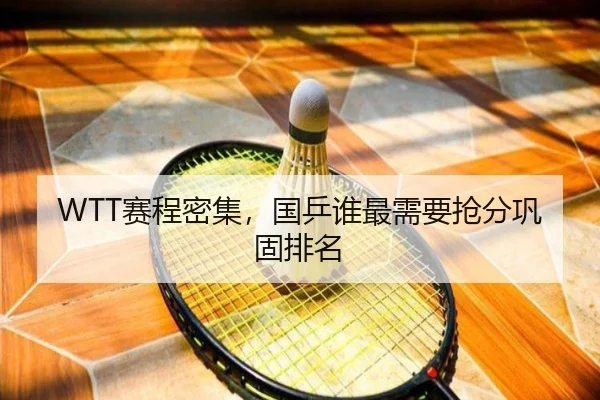 WTT赛程密集，国乒谁最需要抢分巩固排名
