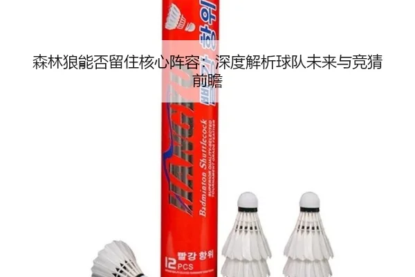 森林狼能否留住核心阵容：深度解析球队未来与竞猜前瞻